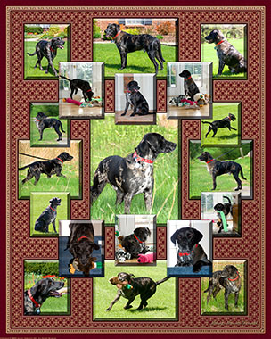 Creative_Ambiguity_VS_MG_02