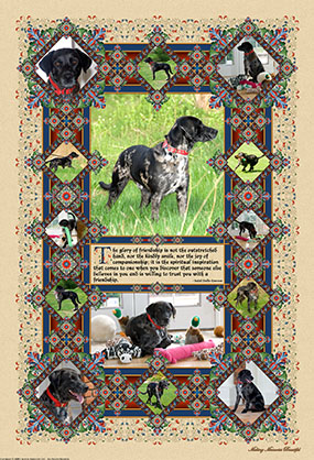 CreativeAmbiguity_VS_IM_03