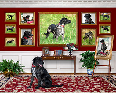 Creative_Ambiguity_VS_3R_13